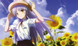 看动漫的,探索奇幻与青春的交织