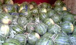 qq吃瓜爆料基地在哪里,QQ吃瓜爆料基地神秘所在地大起底